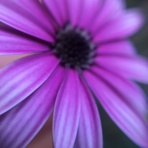 Meet your Posher, Jade